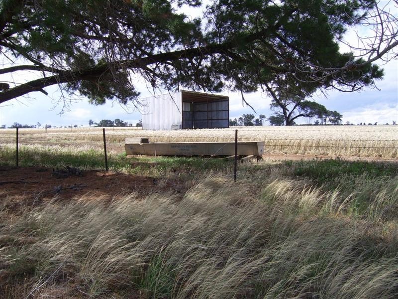1984 Henty-Walla Road, Culcairn NSW 2660