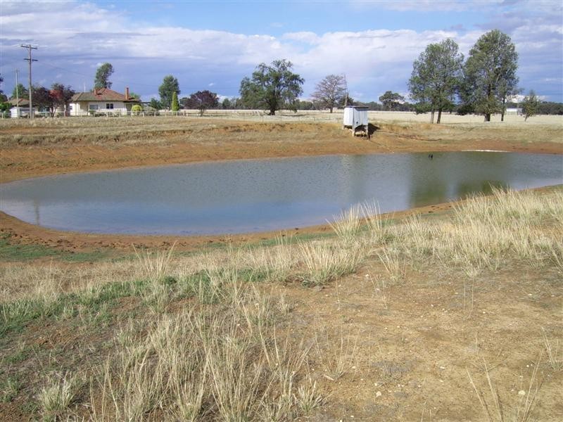 1984 Henty-Walla Road, Culcairn NSW 2660