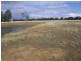 1984 Henty-Walla Road, Culcairn NSW 2660