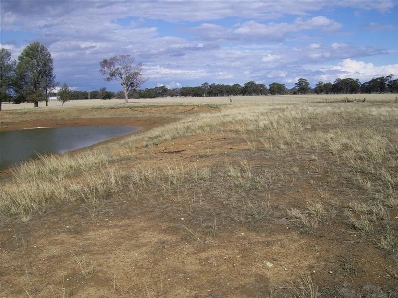 1984 Henty-Walla Road, Culcairn NSW 2660