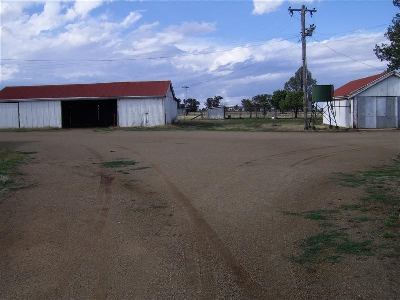 1984 Henty-Walla Road, Culcairn NSW 2660
