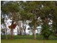 14 Payten Street, Eraring NSW 2264