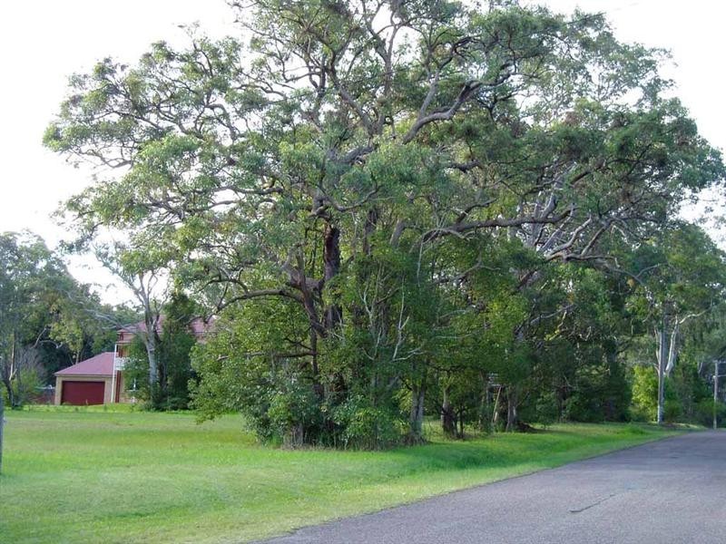14 Payten Street, Eraring NSW 2264