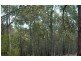 Beechwood NSW 2446
