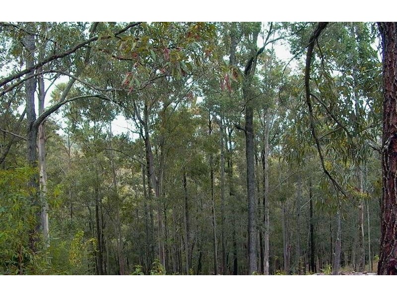 Beechwood NSW 2446
