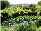100 Upper Crystal Creek Road, Crystal Creek NSW 2484