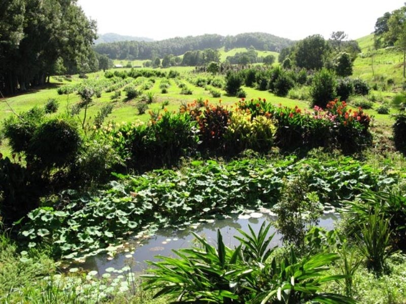 100 Upper Crystal Creek Road, Crystal Creek NSW 2484