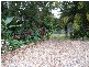 100 Upper Crystal Creek Road, Crystal Creek NSW 2484