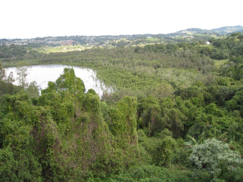 55 The Broadwater Esplanade, Bilambil Heights NSW 2486
