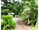 1262 Urliup Road, Murwillumbah NSW 2484