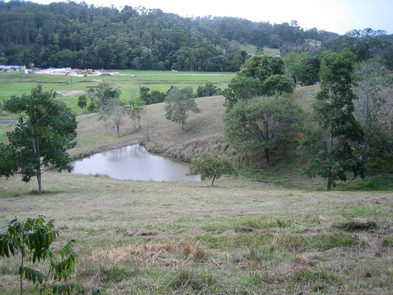 Lot 2 Piggabeen Road, Piggabeen NSW 2486