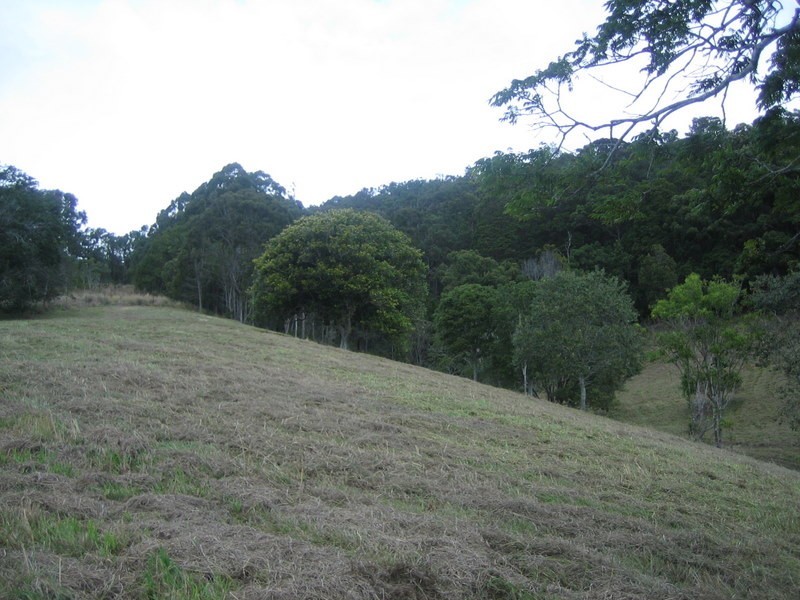 Lot 2 Piggabeen Road, Piggabeen NSW 2486