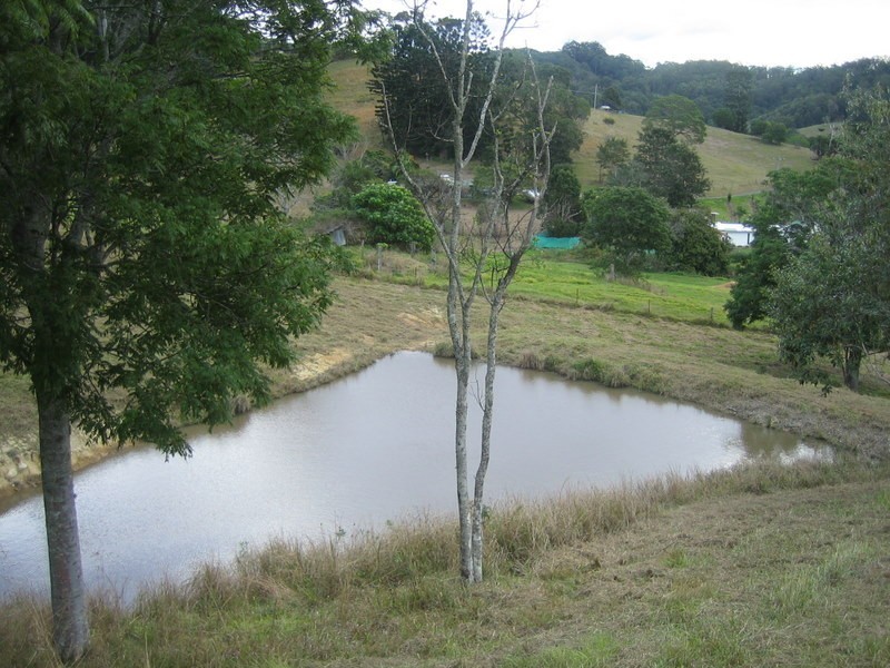 Lot 2 Piggabeen Road, Piggabeen NSW 2486