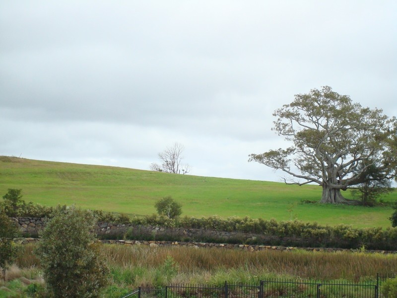 Lot 47 Sunnycrest Drive, Azure, Terranora NSW 2486