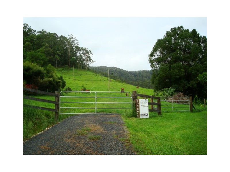 Lot 4 298 Dungay Creek Road, Murwillumbah NSW 2484
