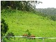 Lot 4 298 Dungay Creek Road, Murwillumbah NSW 2484
