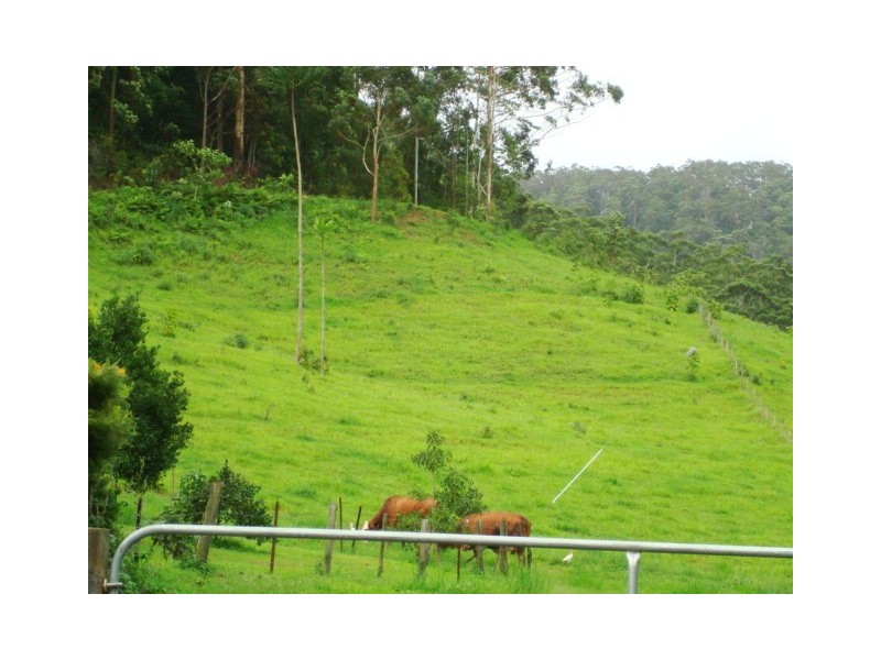 Lot 4 298 Dungay Creek Road, Murwillumbah NSW 2484