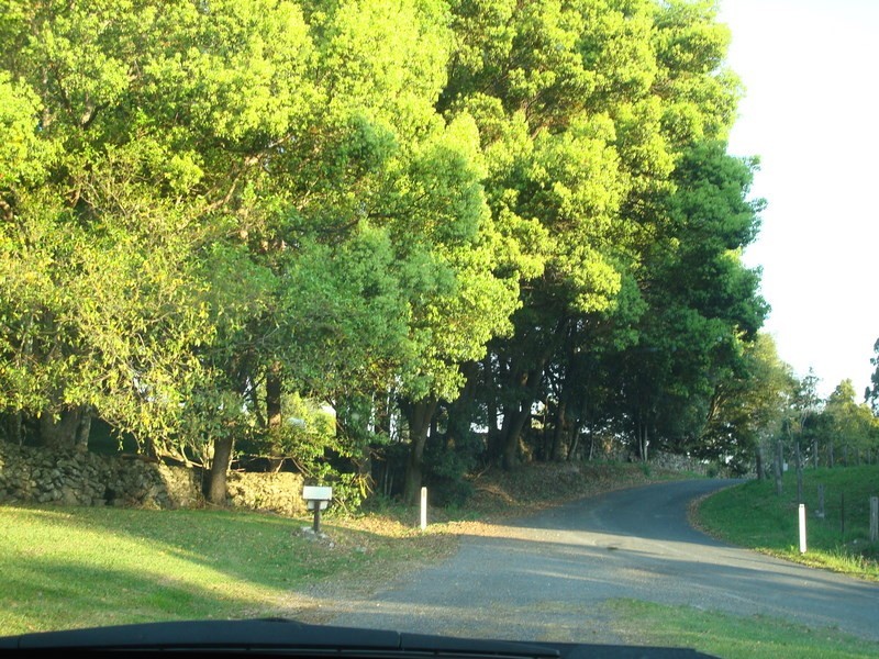 Lot 4 298 Dungay Creek Road, Murwillumbah NSW 2484