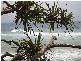 502-110 Marine Parade, Coolangatta QLD 4225