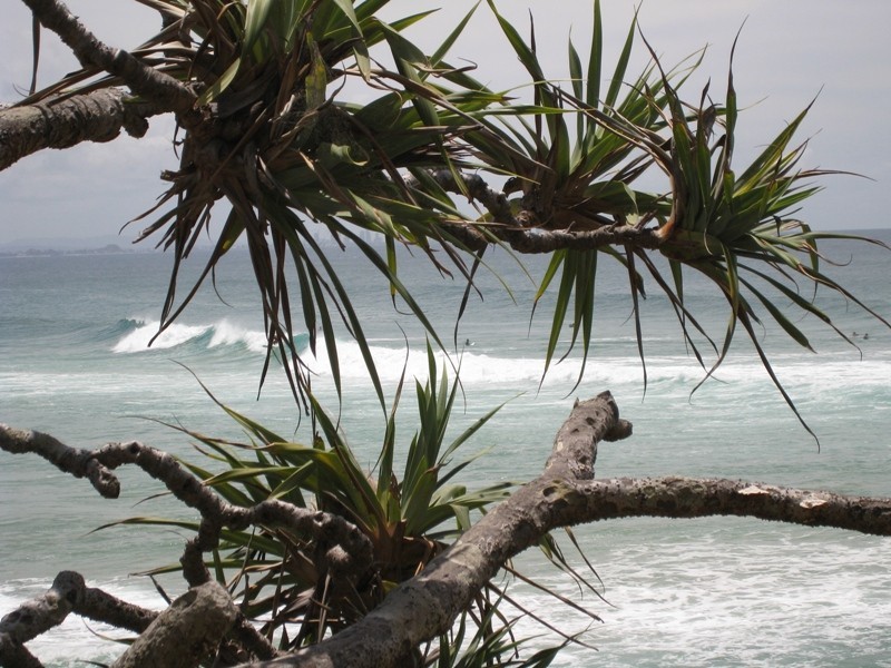 502-110 Marine Parade, Coolangatta QLD 4225