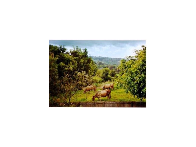 2 Coach Road, Terranora NSW 2486