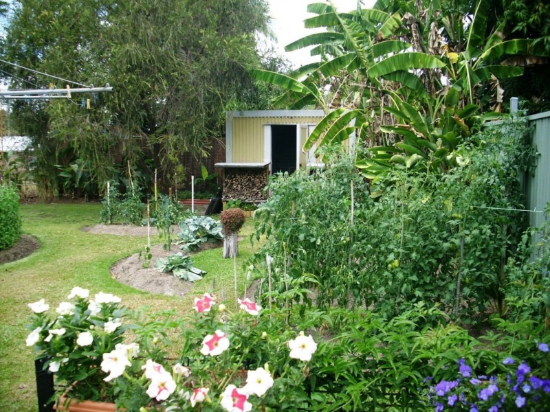 17 Purbeck Place, Edge Hill QLD 4870