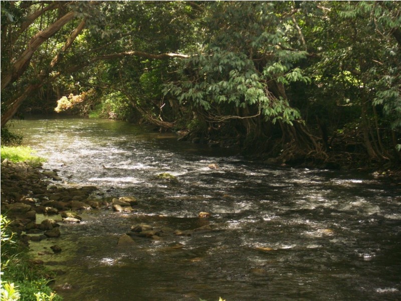 16 Davidson Close, Redlynch QLD 4870