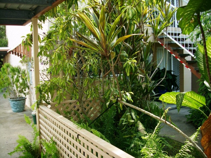 1/8 Nelson Street, Bungalow QLD 4870