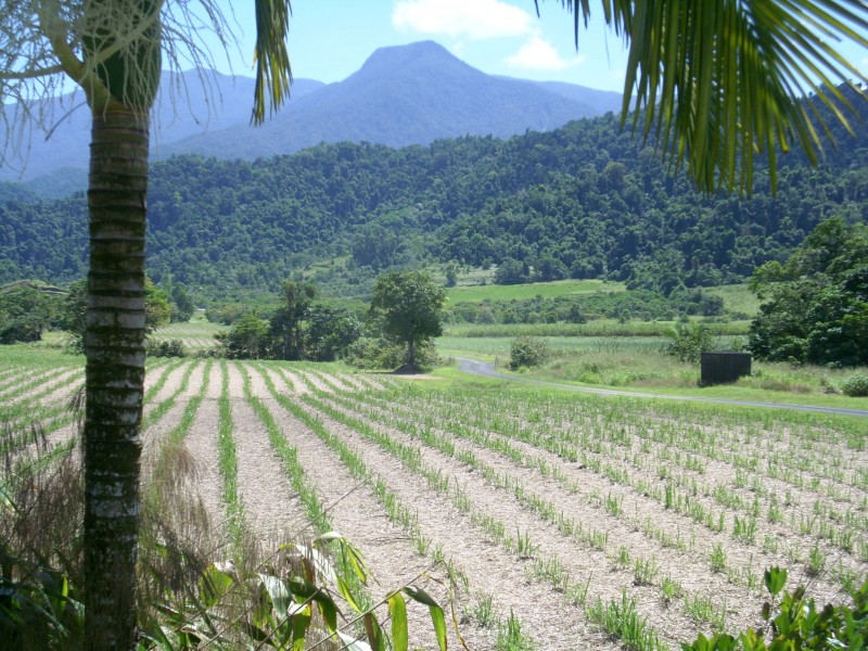 Lot 4 Bartle Frere Road, Bartle Frere QLD 4861