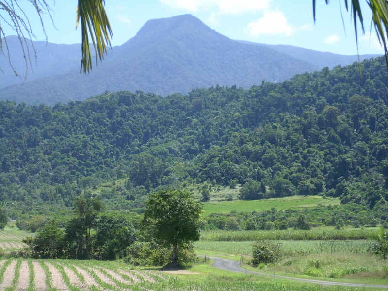 Lot 4 Bartle Frere Road, Bartle Frere QLD 4861