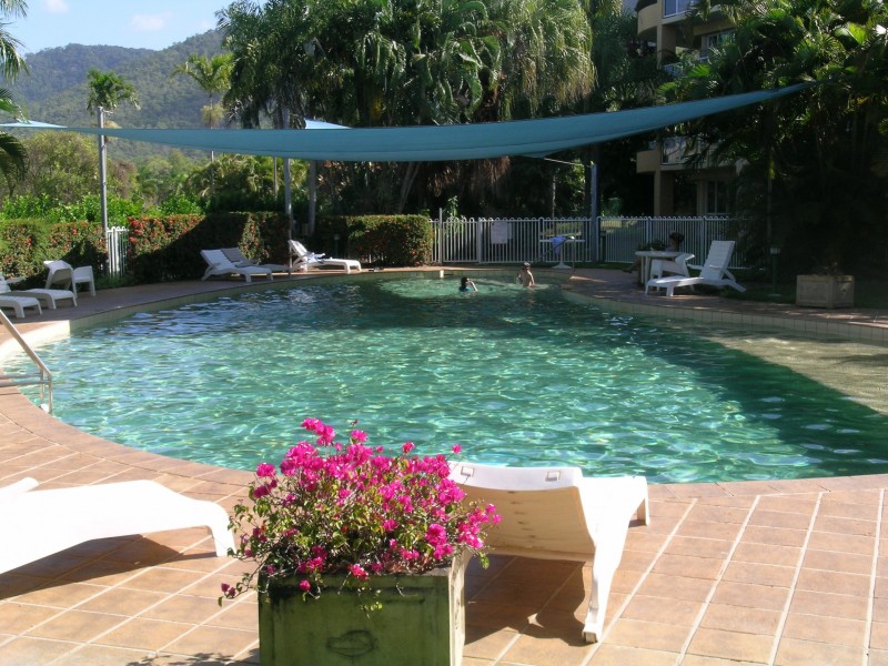 347 Coral Coast Drive, Palm Cove QLD 4879