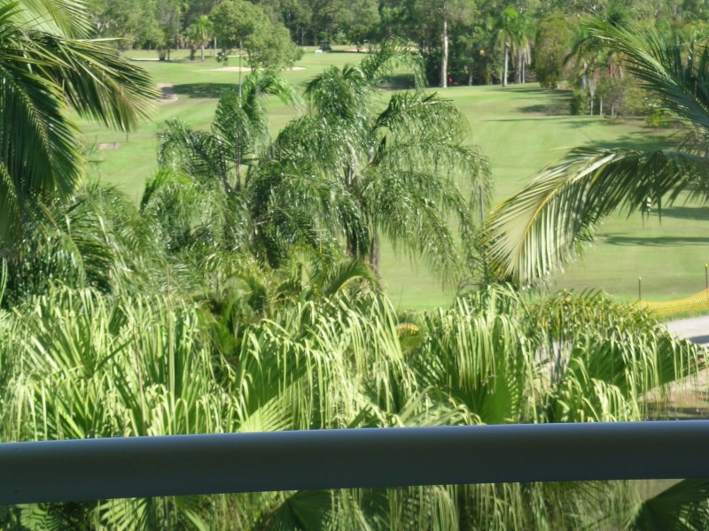 347 Coral Coast Drive, Palm Cove QLD 4879