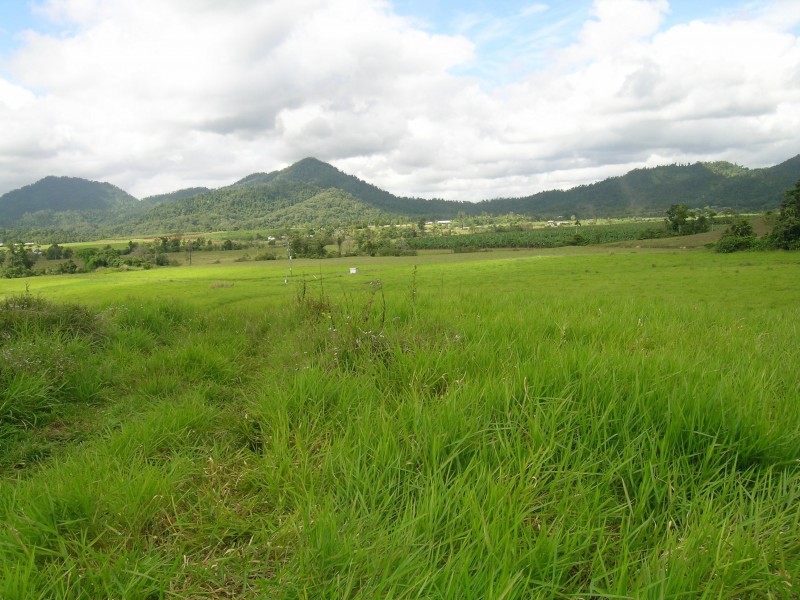 Lot 145 Woopen Creek Road, Woopen Creek QLD 4871