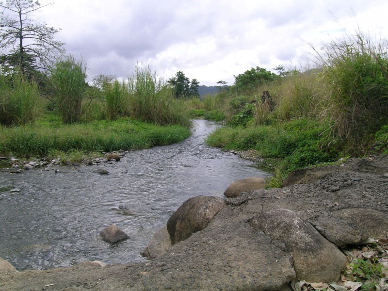 Lot 145 Woopen Creek Road, Woopen Creek QLD 4871