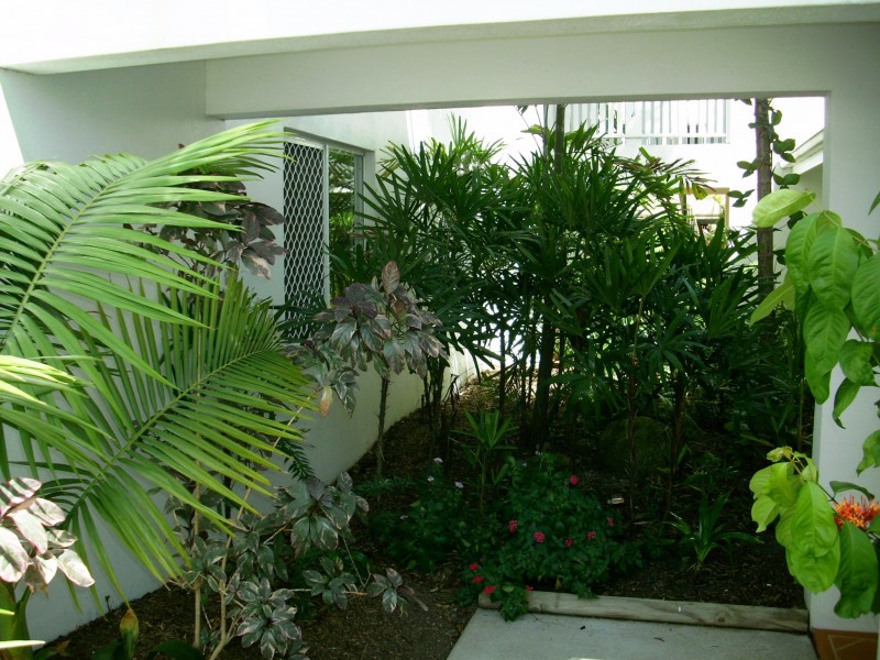 1/158 McLeod Street, Cairns City QLD 4870