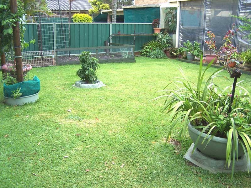 15 Murray Avenue, Forster NSW 2428