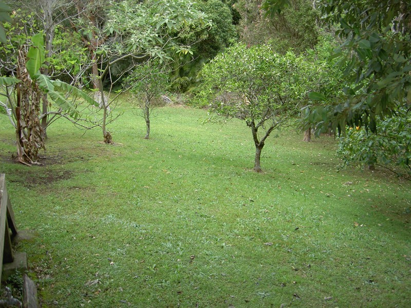 Forster NSW 2428