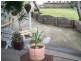 Forster NSW 2428