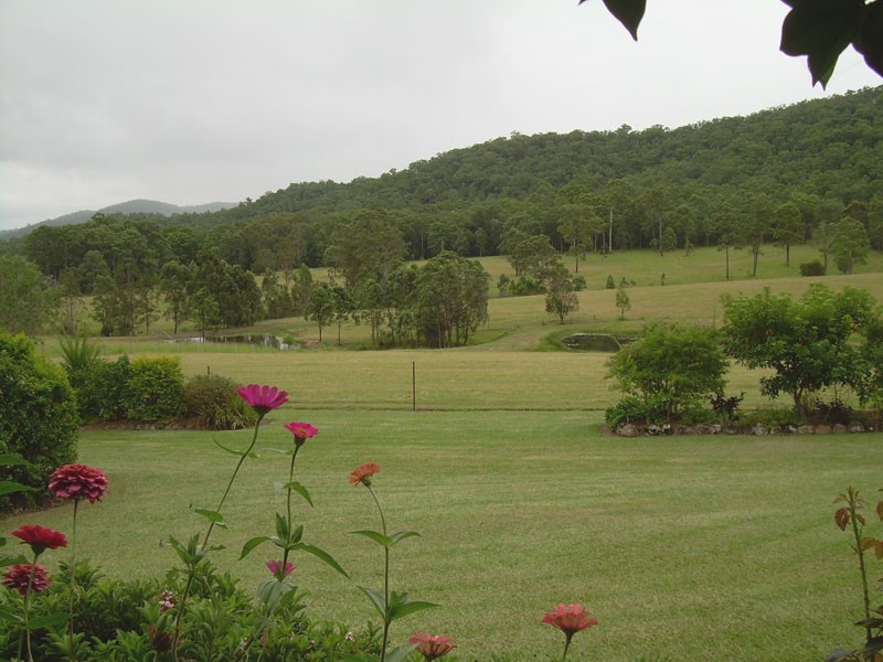 356 Avalon Road, Krambach NSW 2429