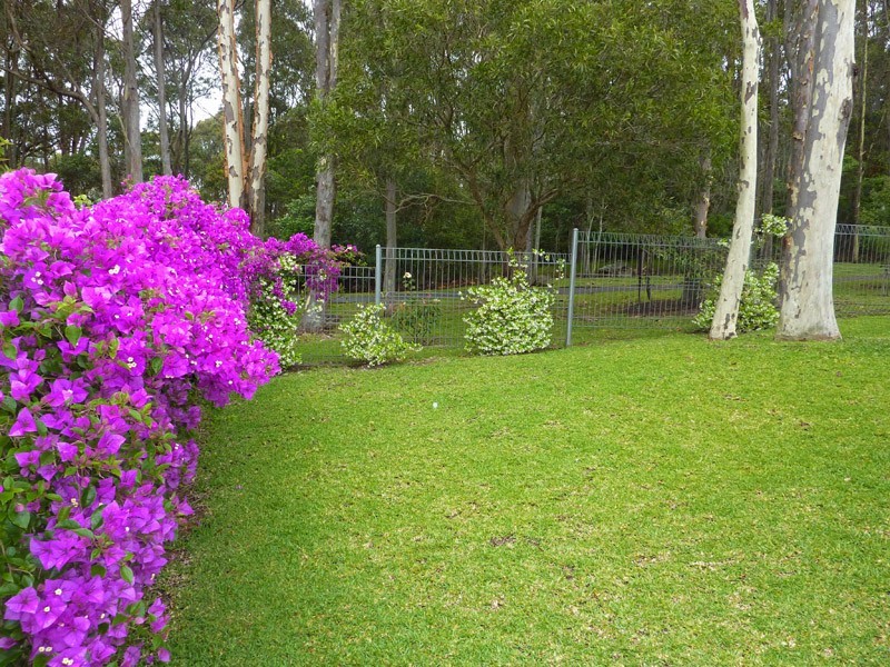 9 Zamia Place, Forster NSW 2428