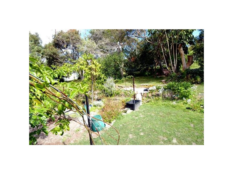 Forster NSW 2428