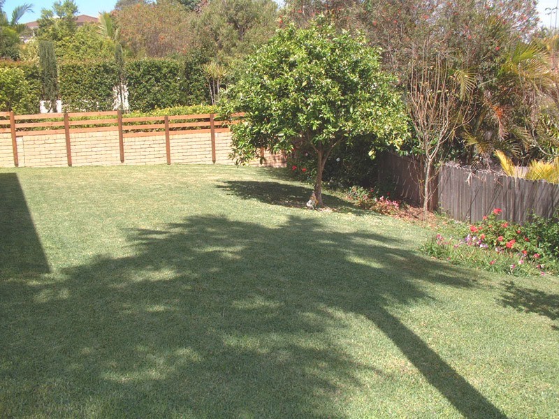 Forster NSW 2428