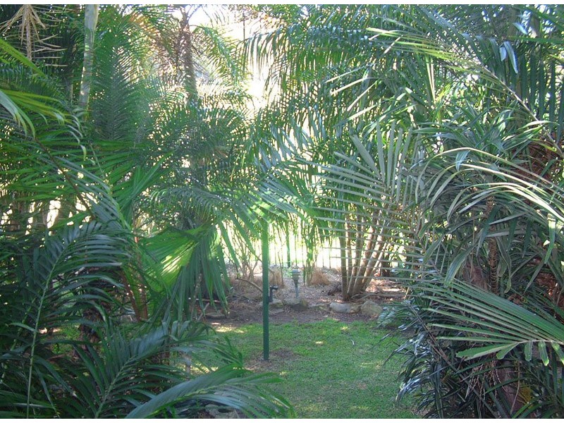 Forster NSW 2428