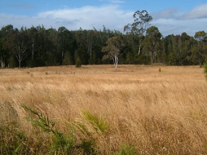 1 Blamey Place, Failford NSW 2430