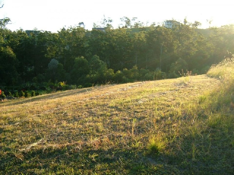 23 The Saddle, Tallwoods Village NSW 2430