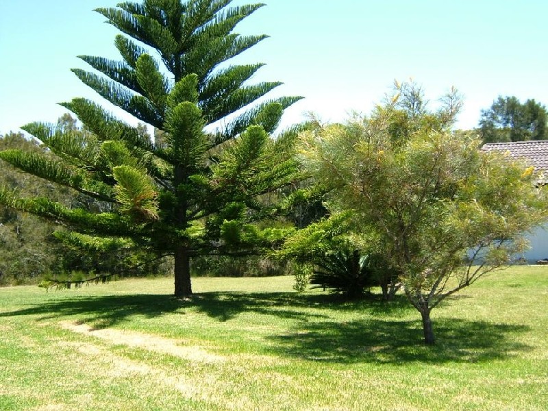 7 Burrawan Street, Forster NSW 2428