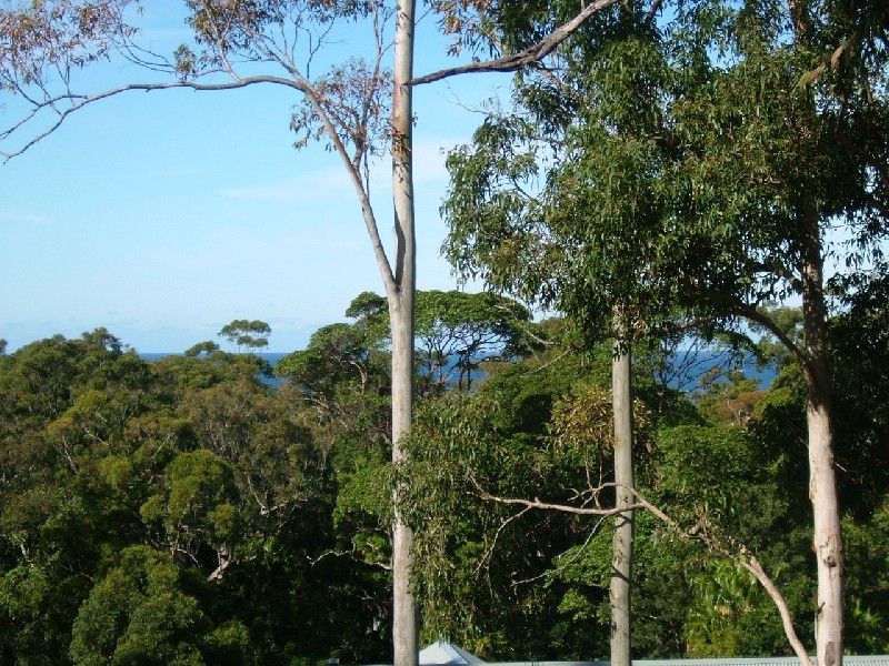 5 Gordon Street, Smiths Lake NSW 2428