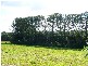 1586 Bangalow Road, Clunes NSW 2480