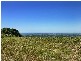 Coorabell NSW 2479