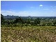 Coorabell NSW 2479